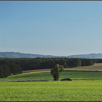 vycházková