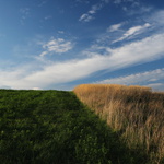 polní 2