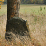 Německý hřbitov u Mnichova