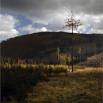 Když úřaduje Božský Osvětlovač... (1)