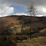 Když zasáhne Božský Osvětlovač... (2)