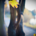 stezka kolem Vltavy (soft verze)