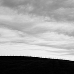 soumrak nad vinohradem / 1