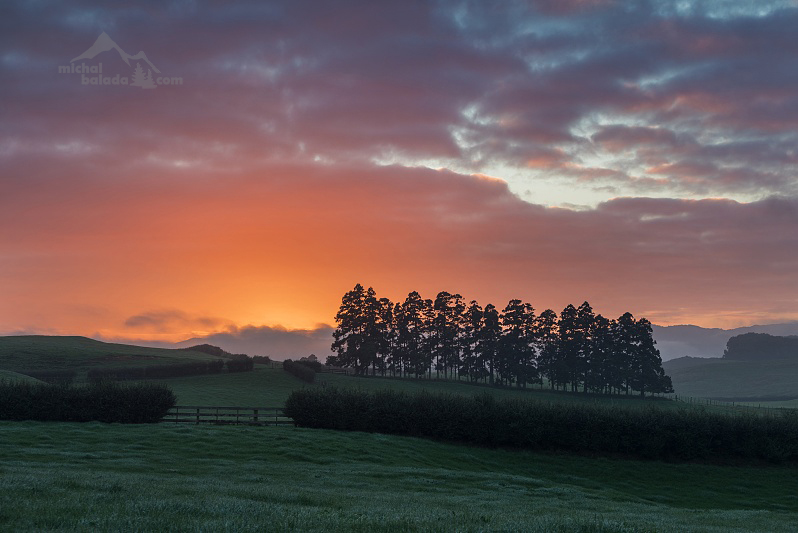 ... NEW ZEALAND ...