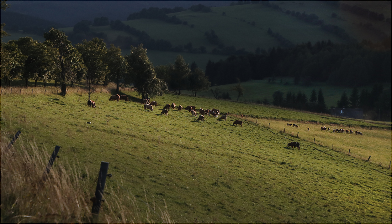 Na sklonku léta, dne i cesty