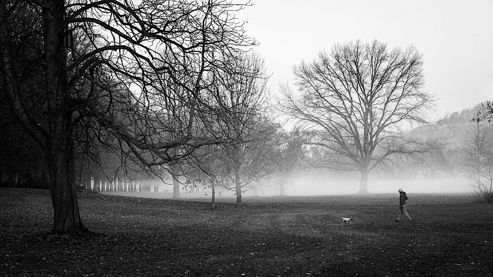 Mlhave Komenskeho ranni...