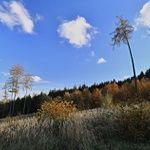 podzimní 1