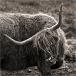 ...a tak si tu žijem!