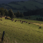 Na sklonku léta, dne i cesty