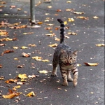 Někdy vážně diskutovat nelze