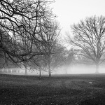 Mlhave Komenskeho ranni...