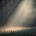 Diváci se už usadili, představení může začít