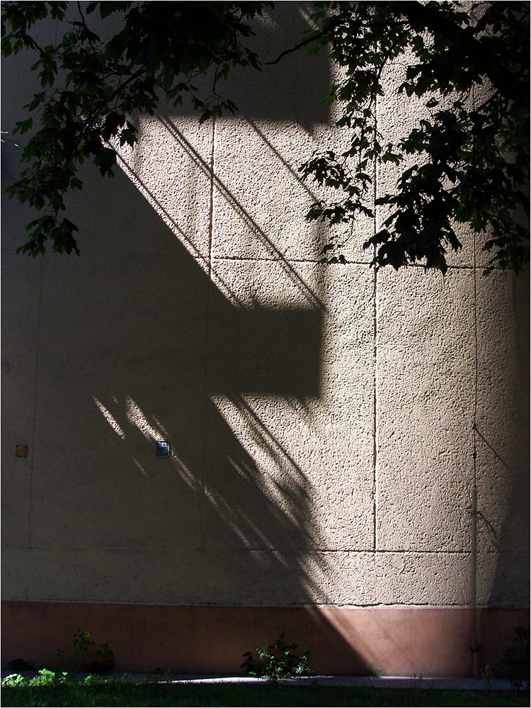 Stíny minulého léta