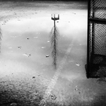 Vánoce bez hokeje ...