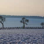 vycházková