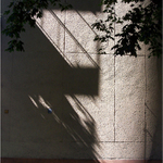 Stíny minulého léta