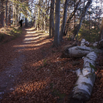 черная гора