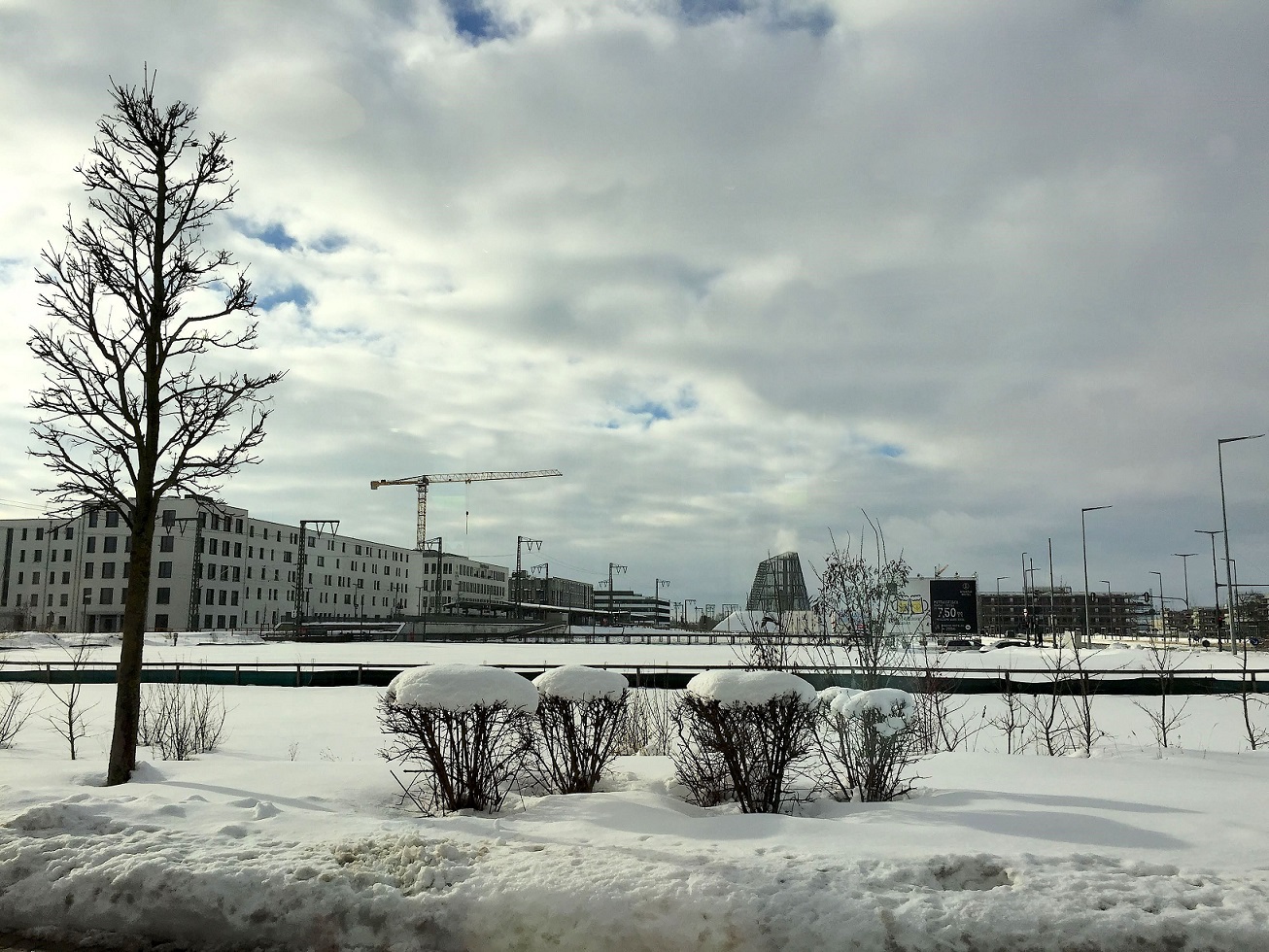 Zima