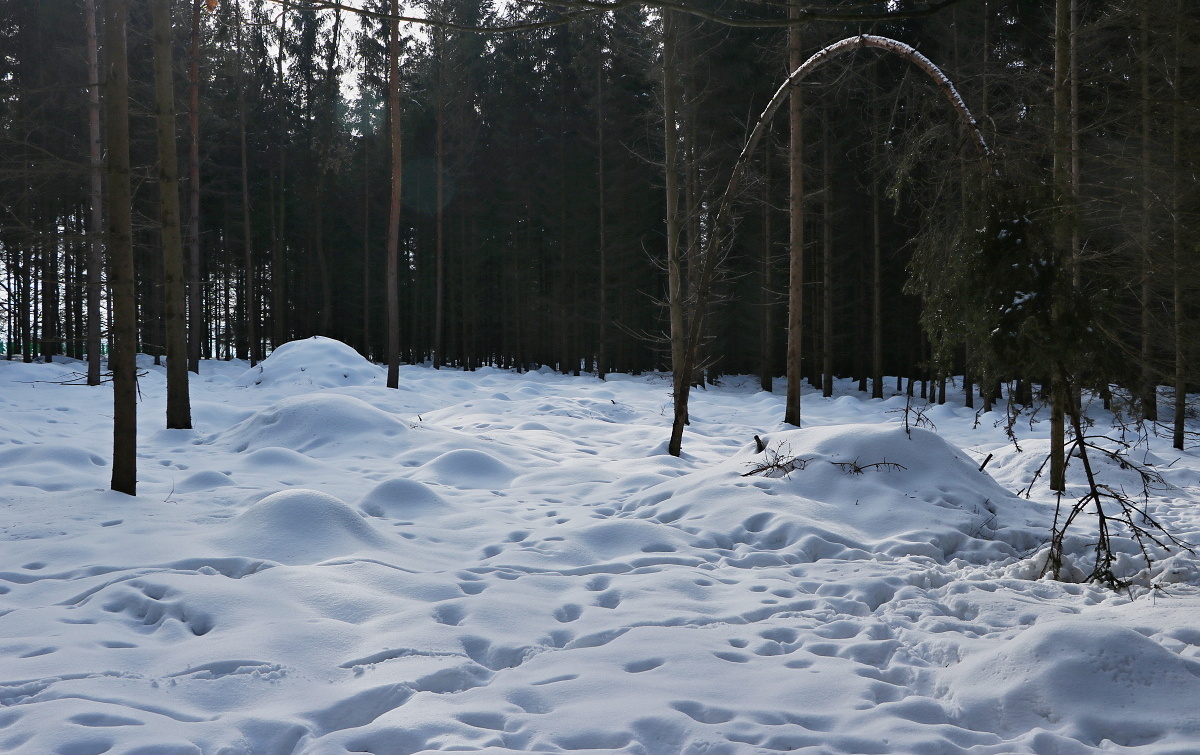 únava nebo past