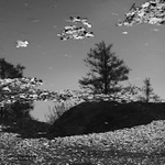 Imaginární krajiny 4