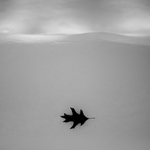 stihacka nad severnim polem