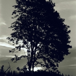 Podvečer v Karpatech