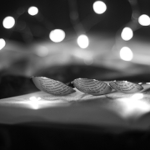 Každá kniha má svého čtenáře