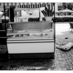 Tady chcípnul pes.....