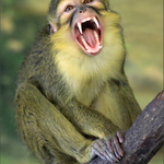 V pořádku, tak zase za půl roku...