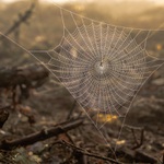 každý si to musí zkusit ...