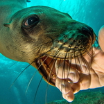 Podáš mu prst a...