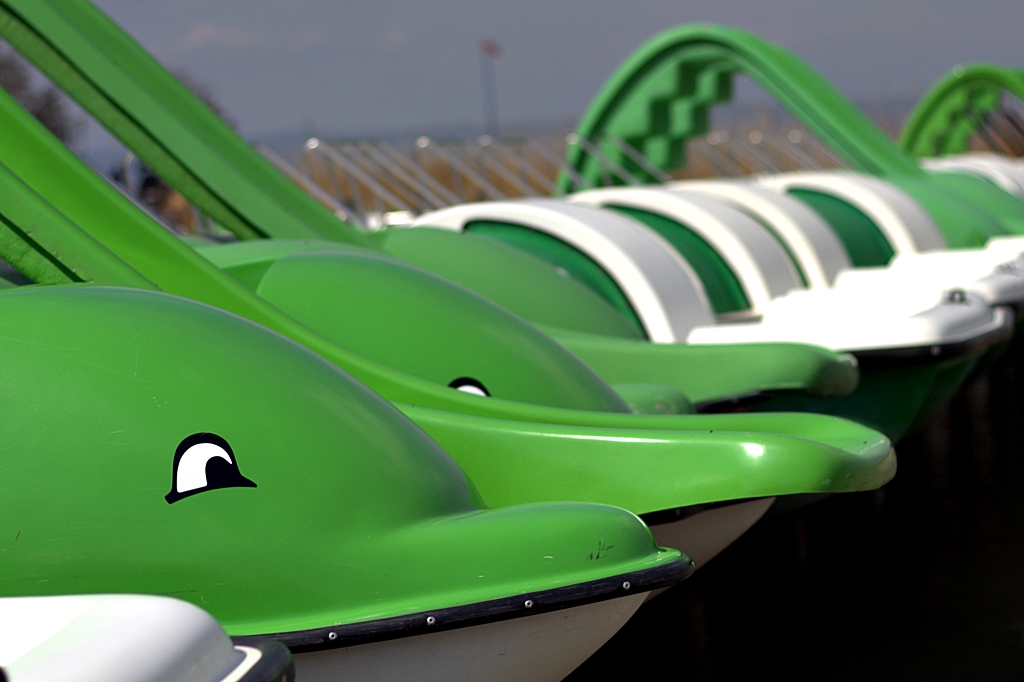 Pri Neziderskom jazere