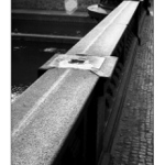 Linie