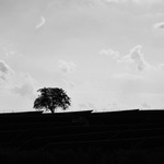 krajina se slunečními panely