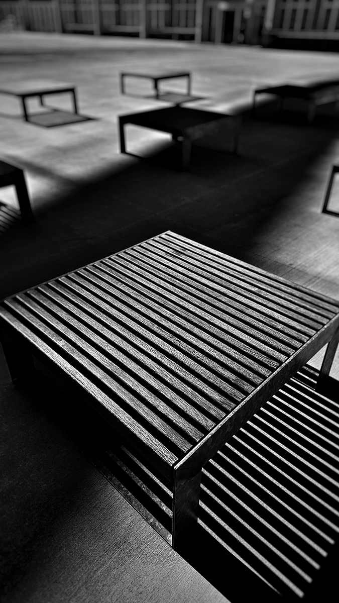 V poklidu stínů....