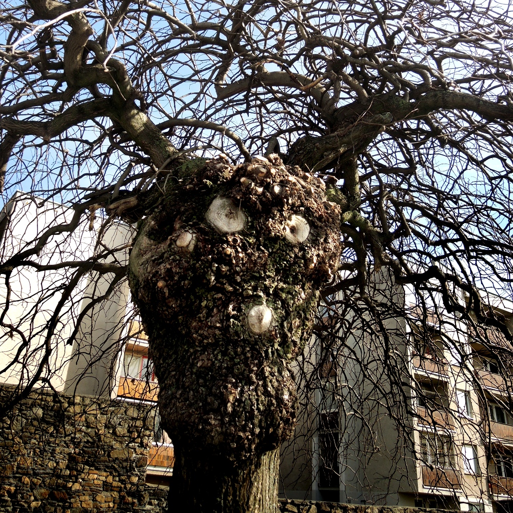 Čarodějnice na sídlišti