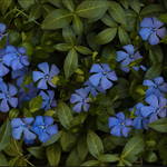 Jarní povinnosti II