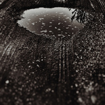 A zas mi projeli úsměvem.... :o)