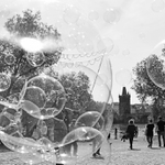 u Lužického semináře