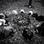 Ó matka Zem,za dary ďakujem..