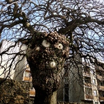 Čarodějnice na sídlišti