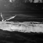 prilet na privatni teren