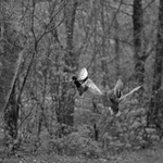 jsem stale s nima ...