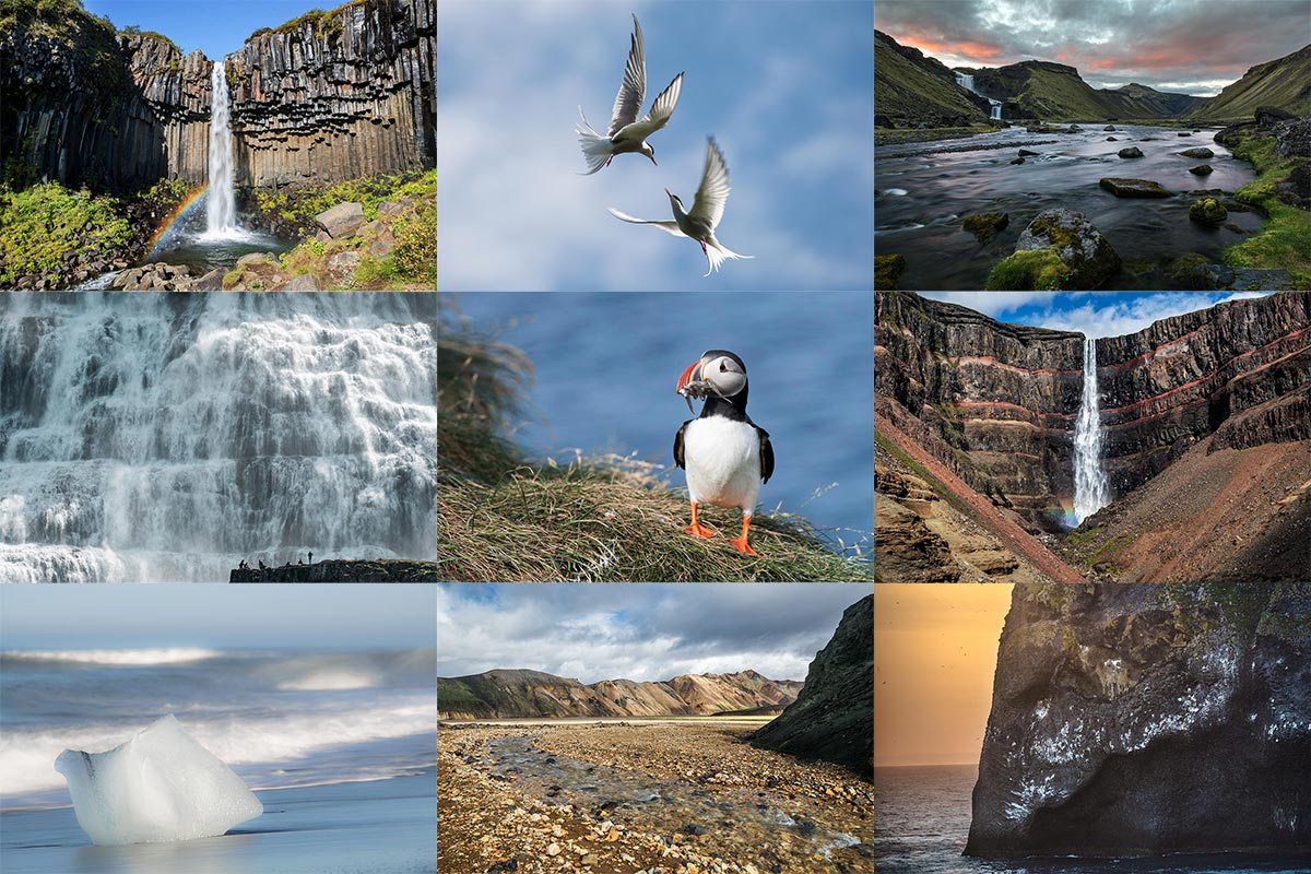 ..expedice Island 2019, přidáte se?