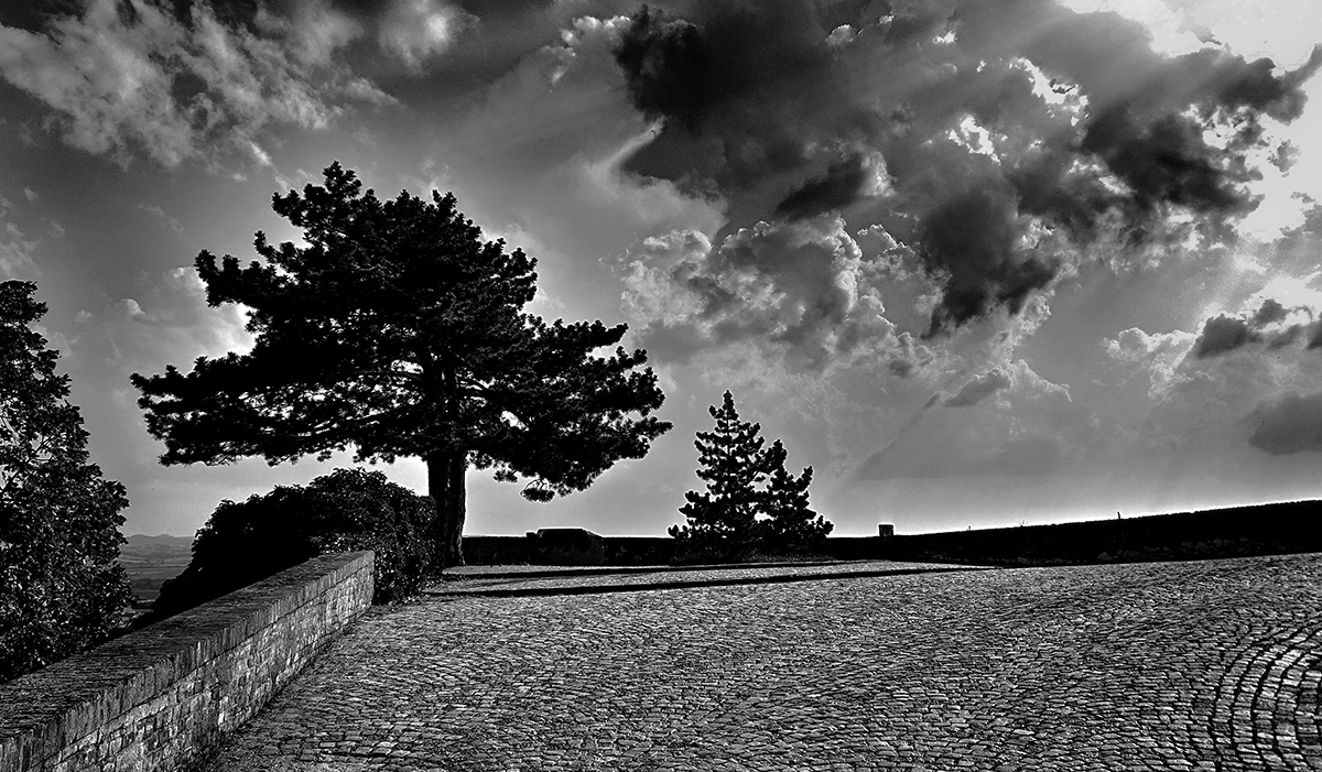 Pod útokem světla.... :o)