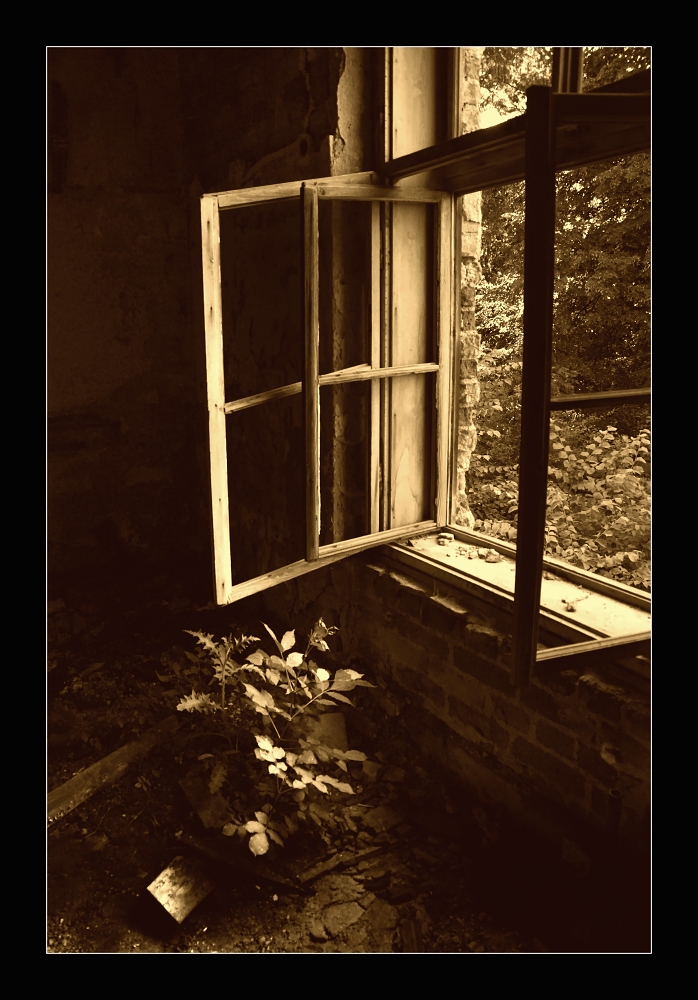 Stále otevřeno....