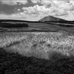 Úpská rašeliniště