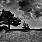 Pod útokem světla.... :o)