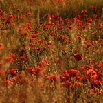 A slunce zapadá ...