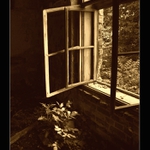 Stále otevřeno....